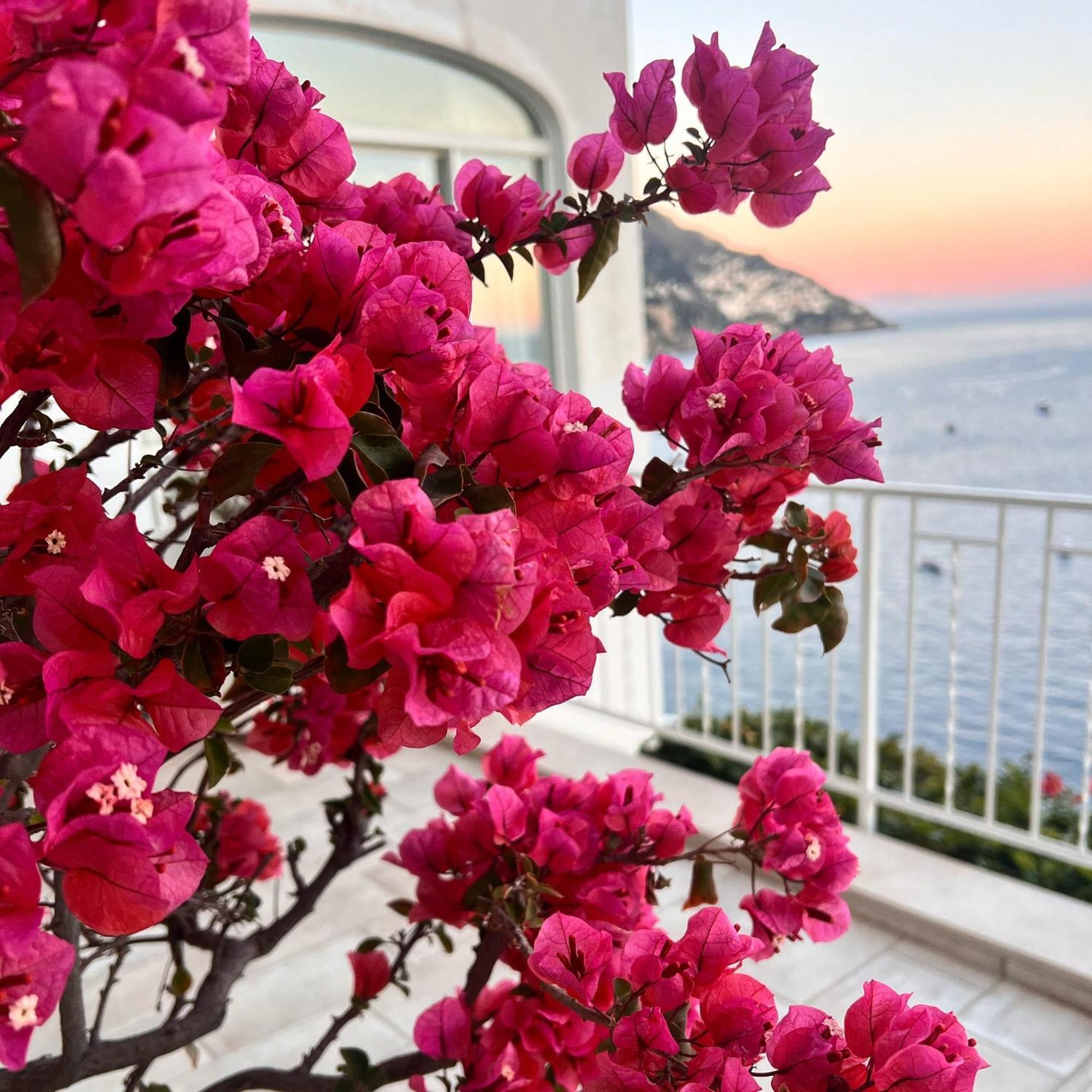 Maison Raphael Positano Ngoại thất bức ảnh